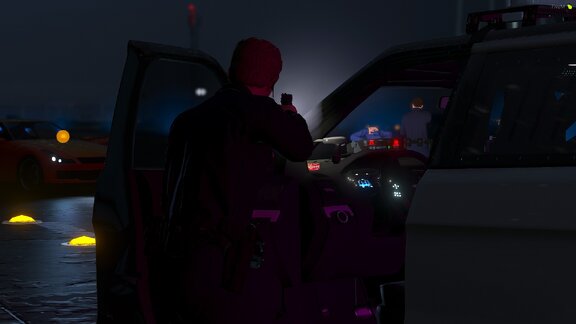 LSPD TRAINING