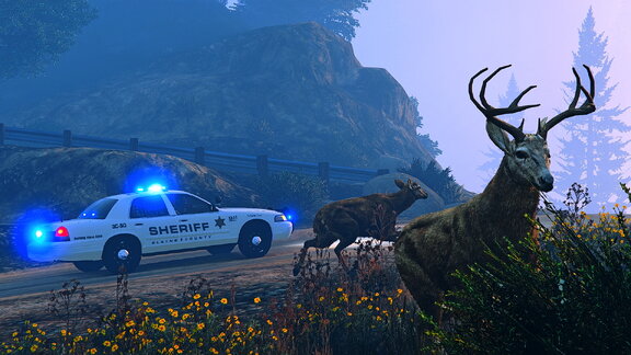 Blaine County wildlife