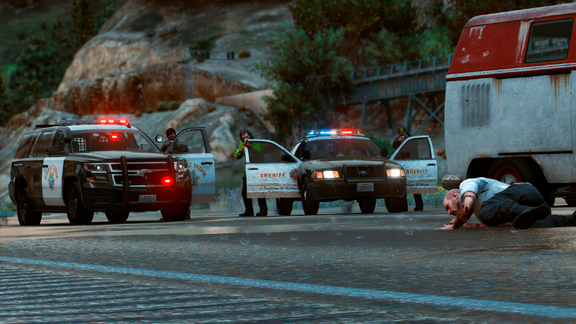 Officers on felony stop