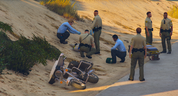 Providing medical assistance to a wounded officer