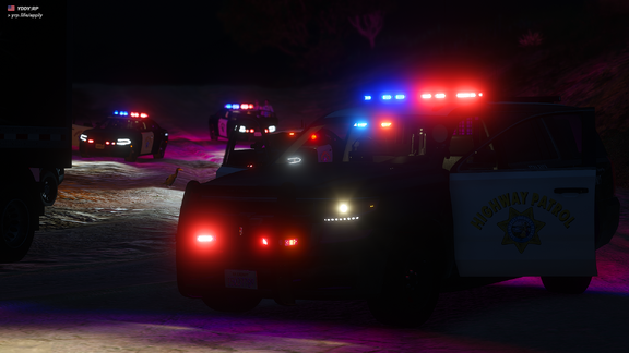 Truck Felony Stop