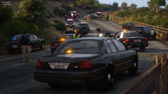 El Burro Boulevard - Traffic Collision Investigation [1]