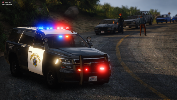 El Burro Boulevard - Traffic Collision Investigation [2]