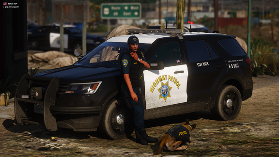 Canine Unit