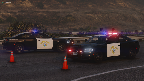 Senora Freeway - Traffic Collision Investigation [4]