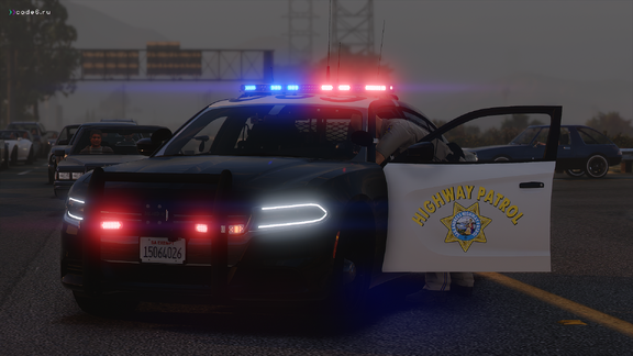 Senora Freeway - Traffic Collision Investigation [6]