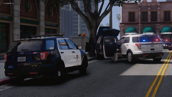 Pursuit Termination [2]