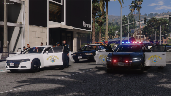 Multi-Agency Felony Stop [2]