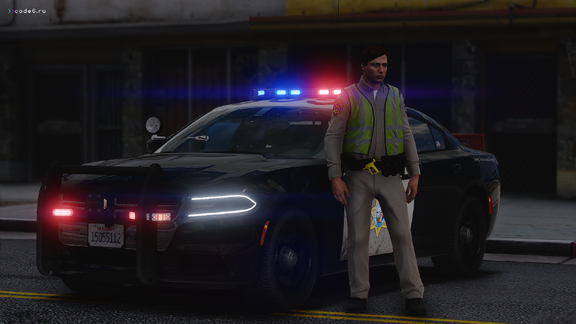 Traffic Enforcement