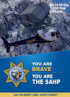 You Are BRAVE. You Are The SAHP.