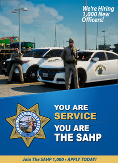 You Are SERVICE. You Are The SAHP.