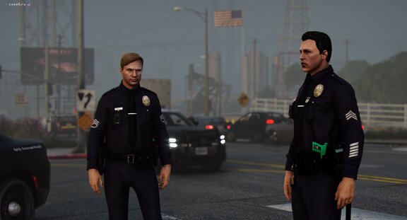 LSPD on TC incident