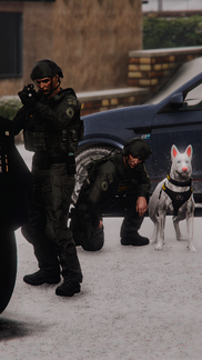 Canine Unit [2]