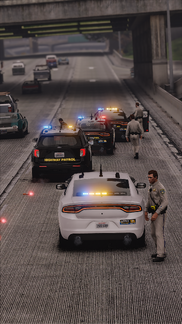 Highway Patrol Incident