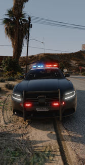 Dodge Charger Pursuit