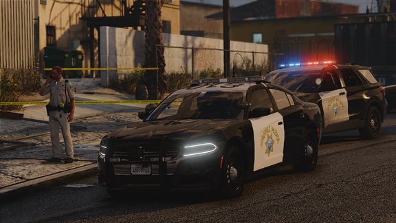 Drive By Investigation [1]
