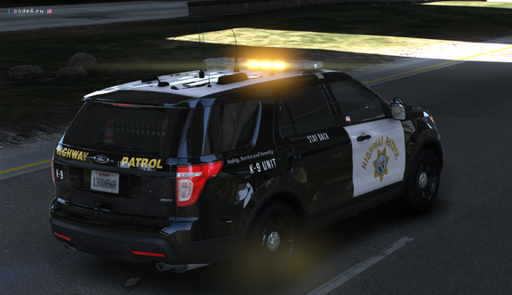 Canine Unit on scene