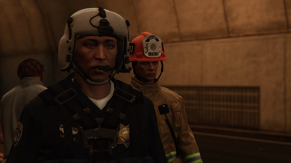 Air Operations Division Pilot