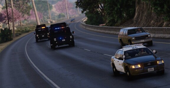 accompany and escort