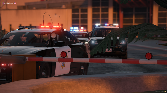 Arrest of drag racers #2