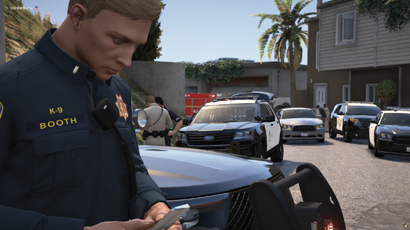 The gun incident #4