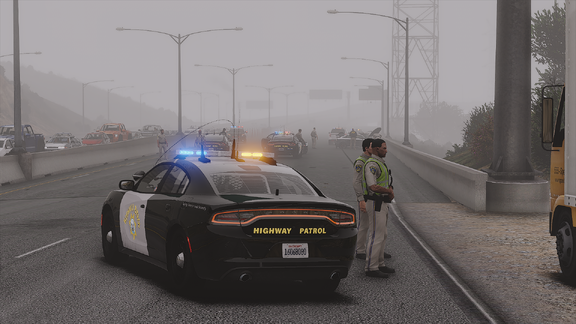 Traffic Officers