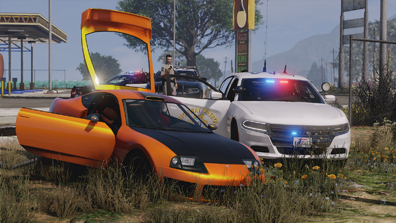 Traffic Collision Investigation - 1012 Paleto Blvd