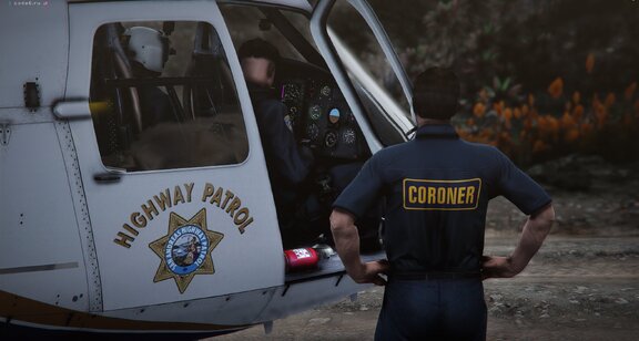 LA county coroners & SAHP AOD on mountain
