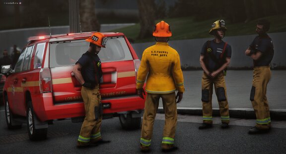 D-briefing