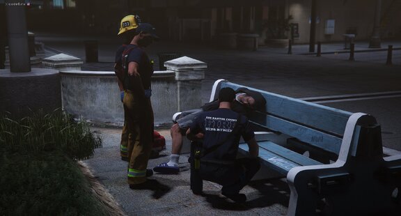 LSCoFD paramedics on medical assistance incident