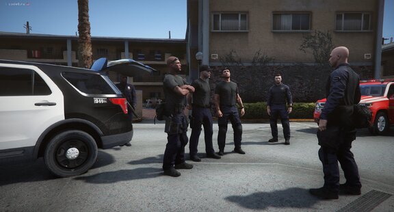 D-briefing
