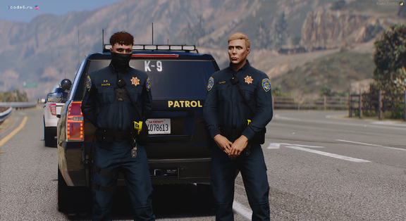 Guardians of the Highway