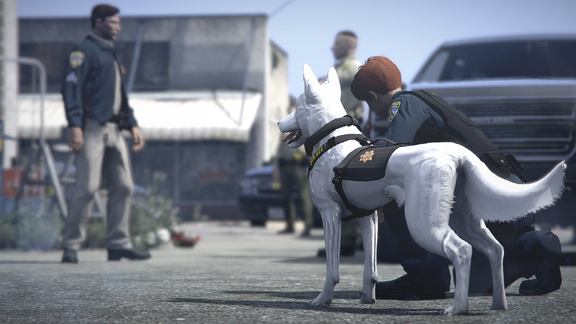 A Brave Heart on Four Legs