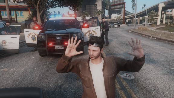 Arrest in Progress