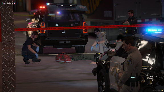 The wounded officer | Assault on a policeman #3