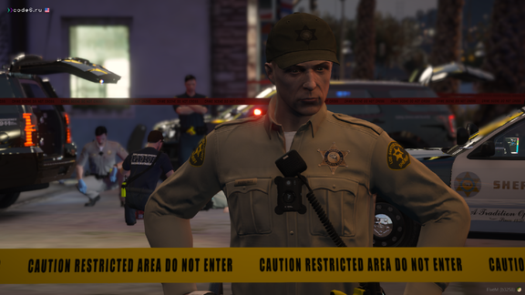 The wounded officer #2 | Assault on a policeman #4