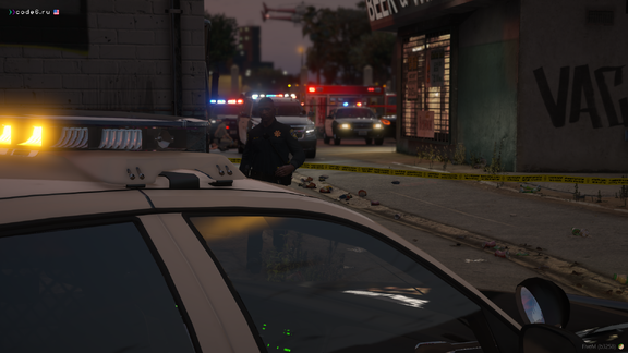 Assault on a policeman #5
