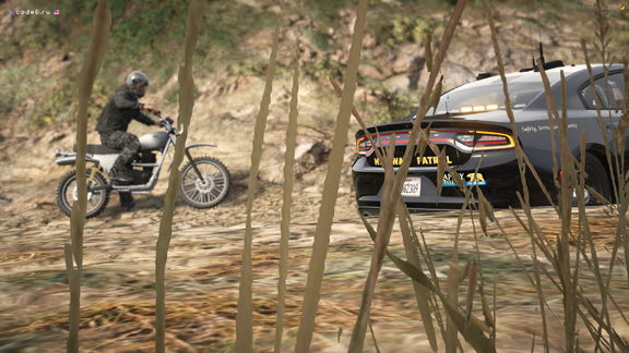 The brazen biker