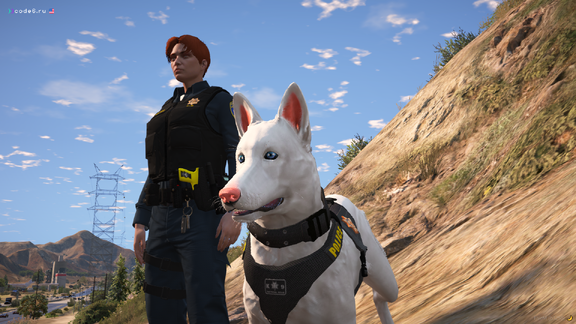 K9 Unit