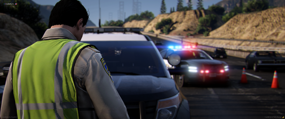 Traffic Incident [5]