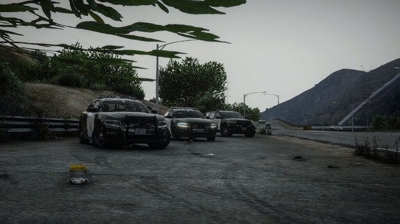SAHP Patrol Fleet: 3 Cruisers Ready for Action