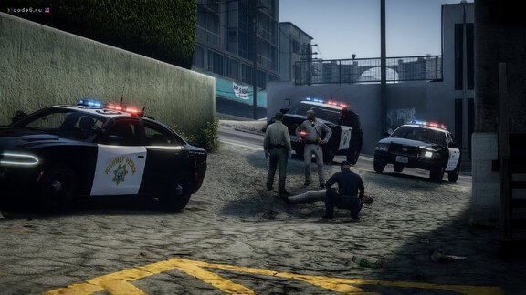 Cop Gets Run Over