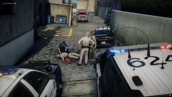 Officer Down: Hit & Run Incident