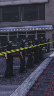 Thin Blue Line