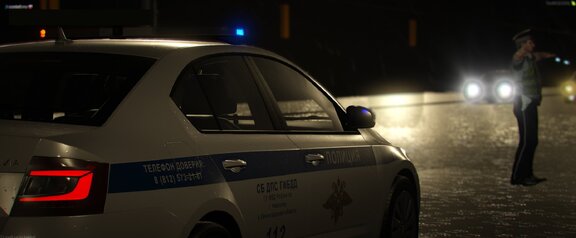 Петербургский потоп? Не проблема! Наши гаишники даже в шторм 5 баллов продолжают священный ритуал
