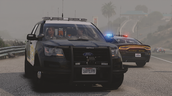 Force Investigation