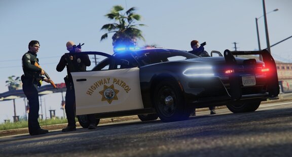 Law in Crosshairs