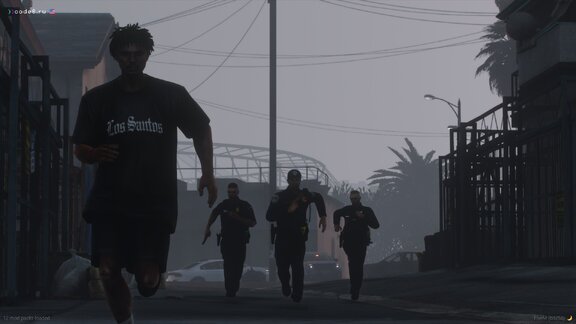 Law enforcement in action