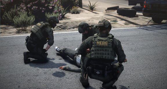 DHS TEMS Medical support