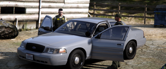 Critical incident [3]